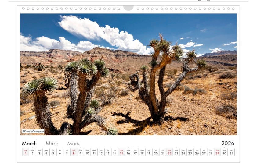 Calendar, 2026, Landscape, Nevada, USA, Desert, Cactus