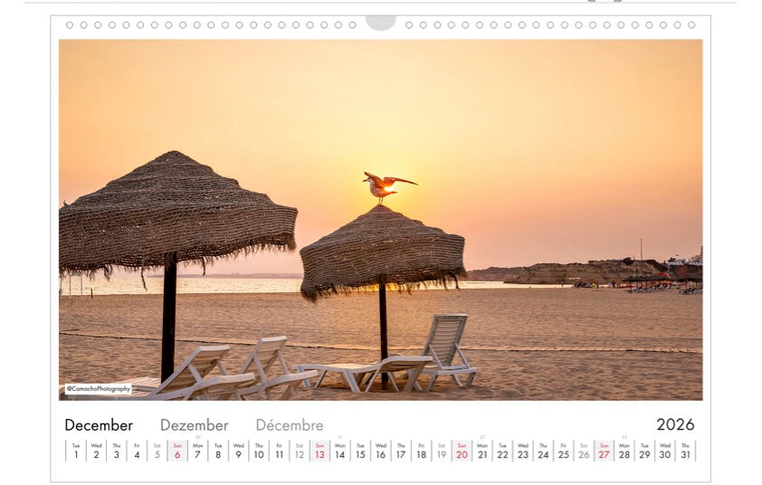 Calendar, 2026, Landscape, Portugal, beach, sunset, Portimao, bird, sun