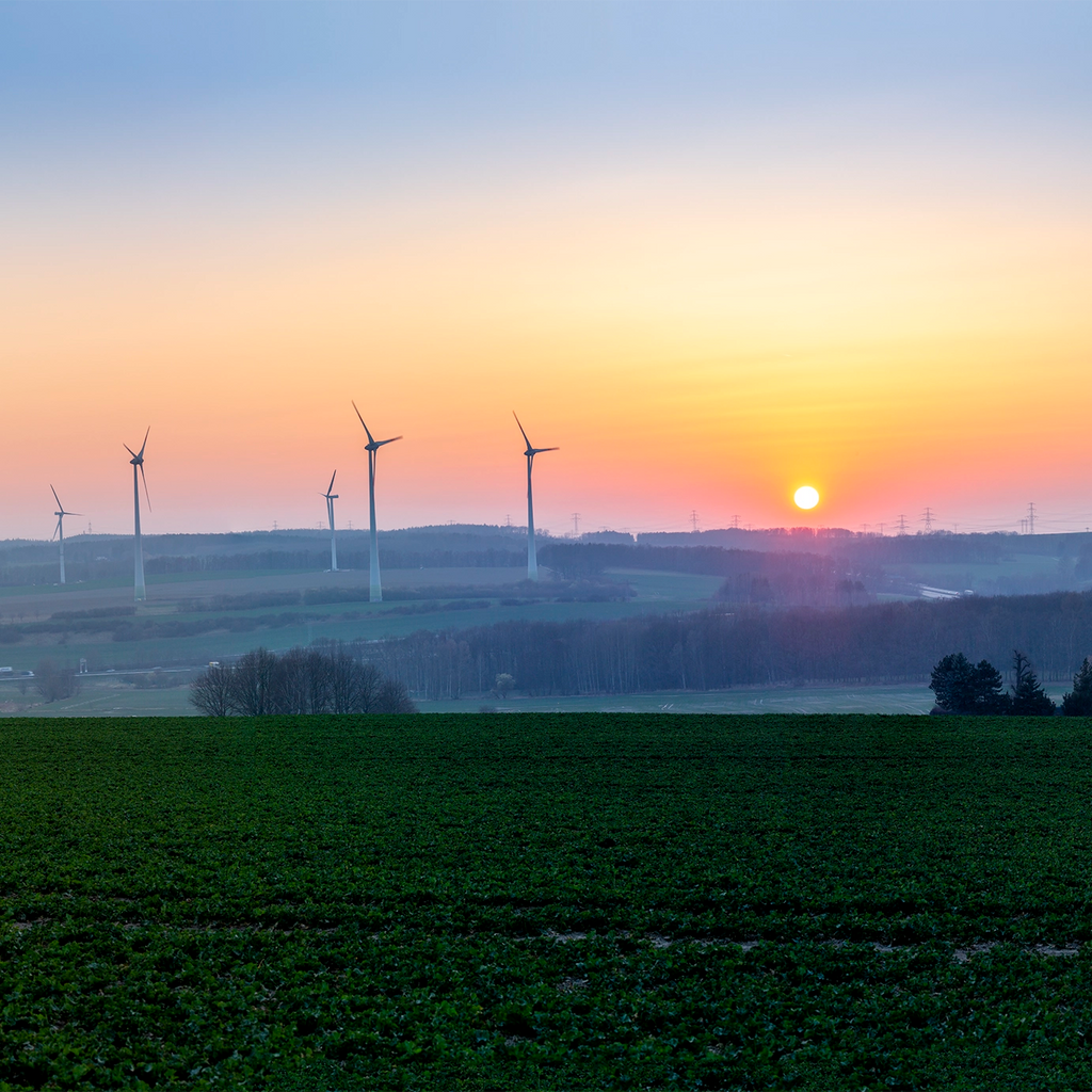 Cold, Winter, Sunset, Field, Panorama, wind, turbines, sun, fog, eolian, clean, energy