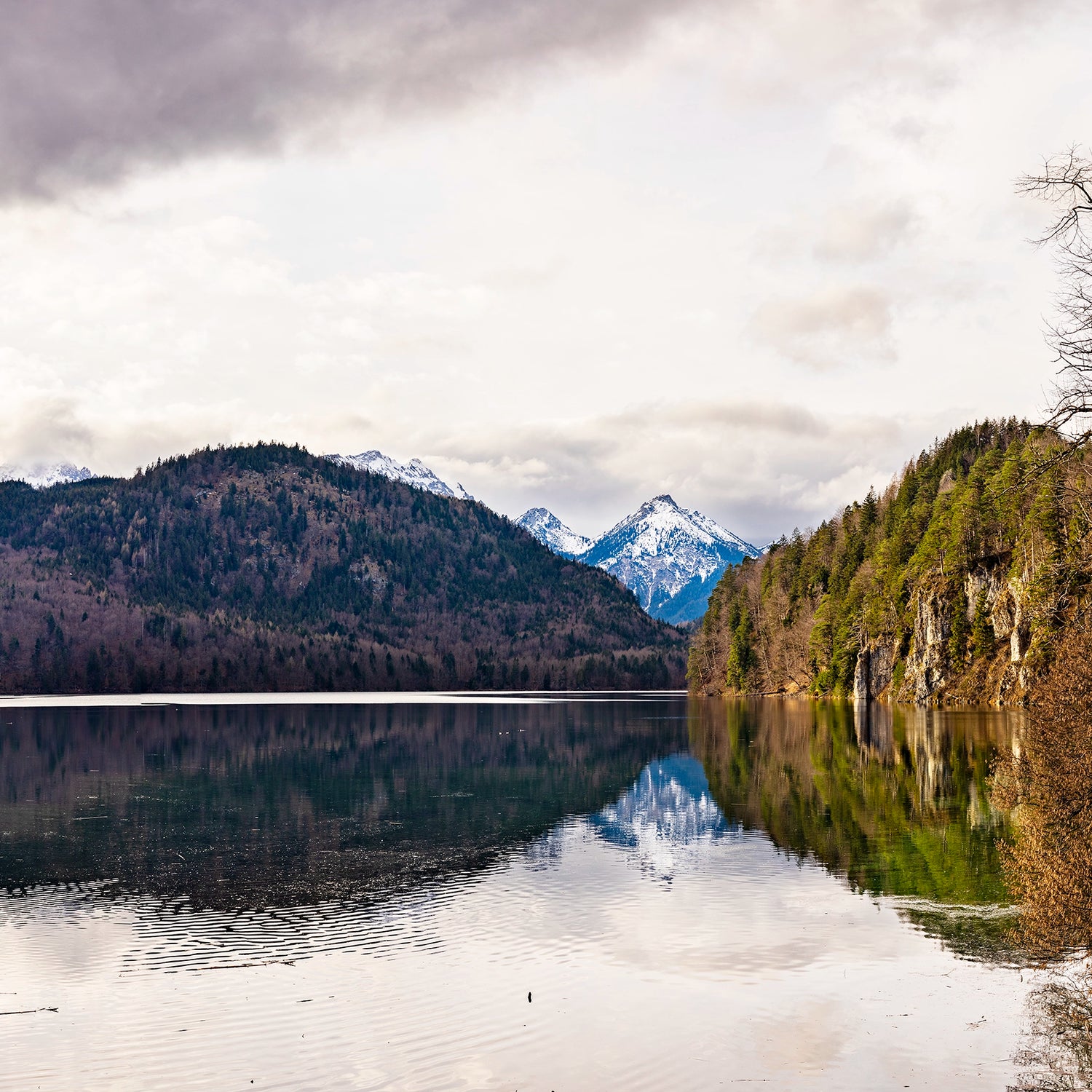 Thumbnail of tranquil beauty with this panoramic image from the German Alps in Schwangau, Germany.