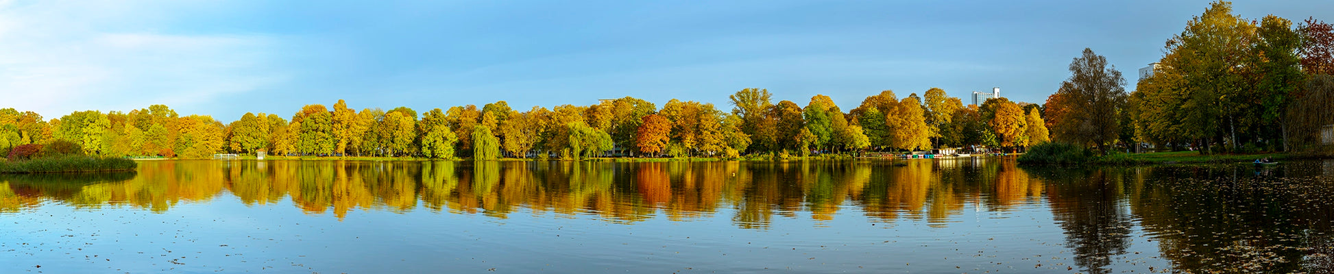 Panoramic that captures the serene beauty of an autumn day, where a line of vibrant, golden-hued trees stands gracefully along the calm waters of the lake. Actual format of the artwork.