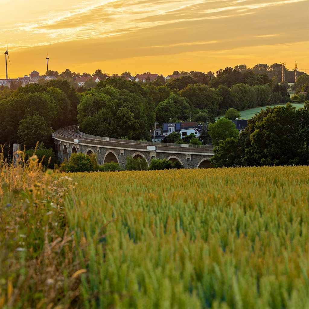 Stone arch bridge over a field with trees and buildings in the background during sunset.