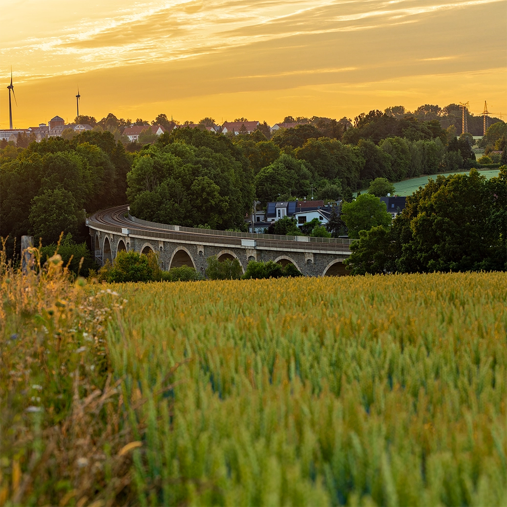 Stone arch bridge over a field with trees and buildings in the background during sunset.