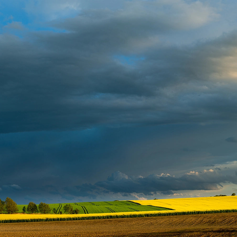 Fields of green and yellow with a dramatic sky filled with dark clouds.
